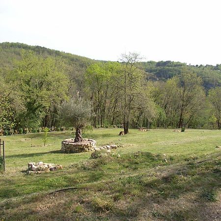 Studio Aux Eyzies Au Coeur De La Vallee De L'Homme Les Eyzies エクステリア 写真
