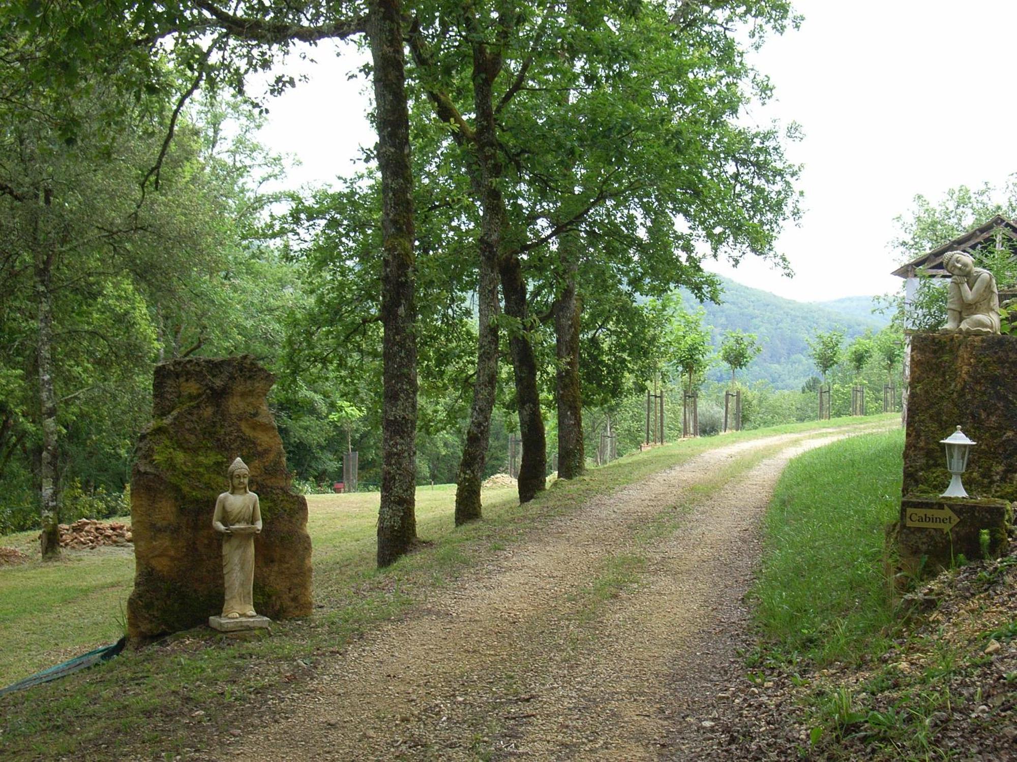 Studio Aux Eyzies Au Coeur De La Vallee De L'Homme Les Eyzies エクステリア 写真