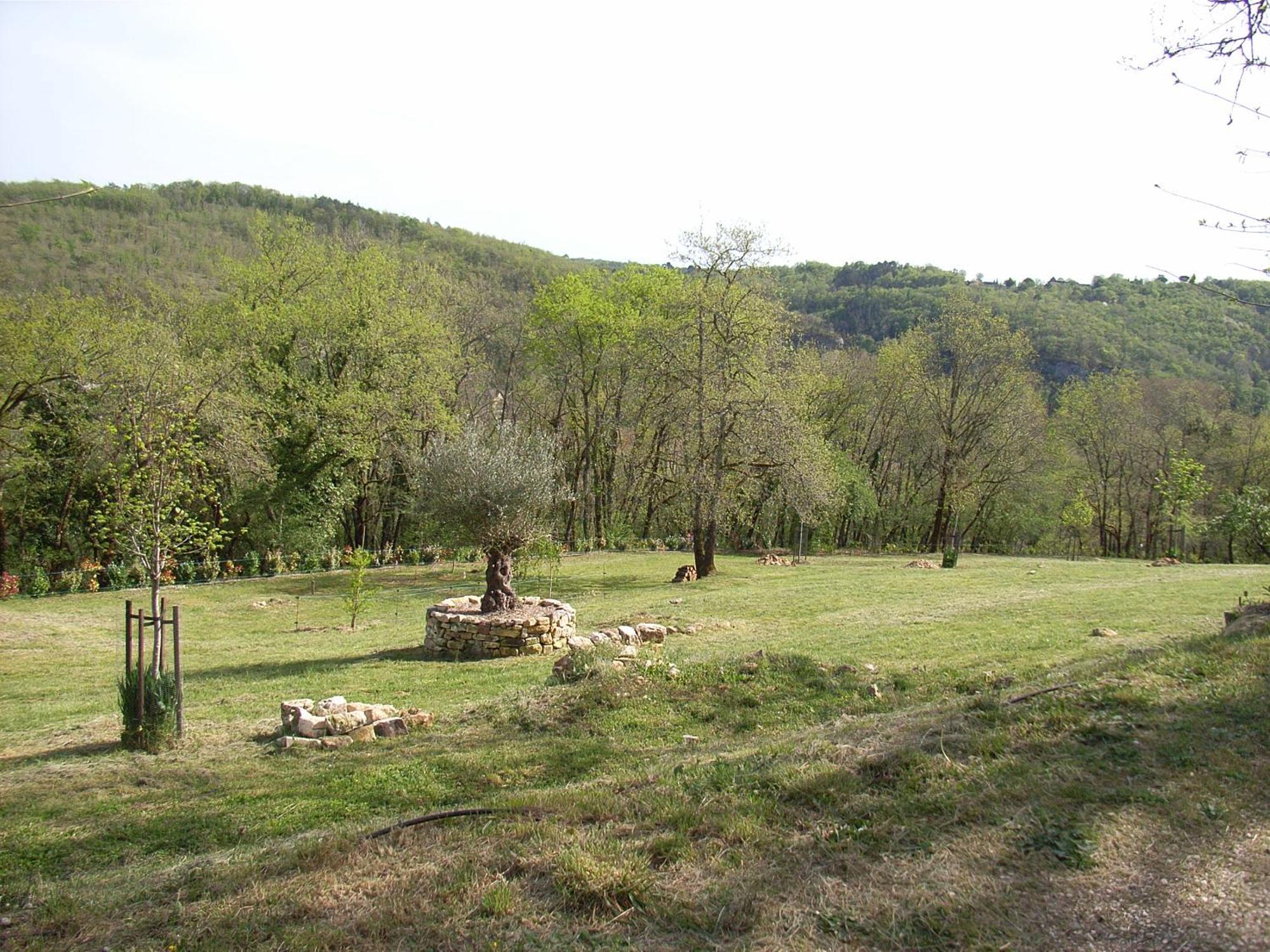 Studio Aux Eyzies Au Coeur De La Vallee De L'Homme Les Eyzies エクステリア 写真