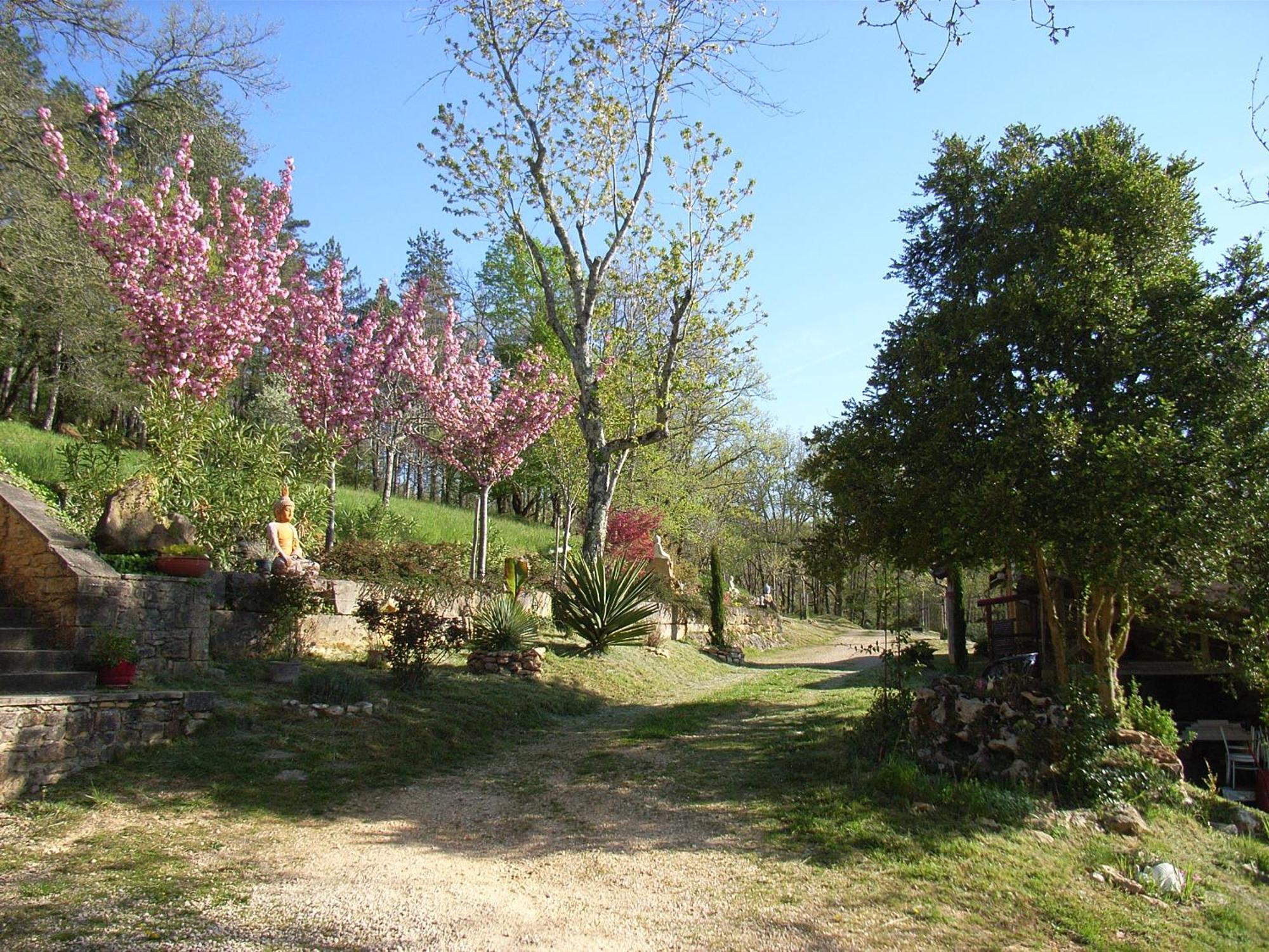Studio Aux Eyzies Au Coeur De La Vallee De L'Homme Les Eyzies エクステリア 写真
