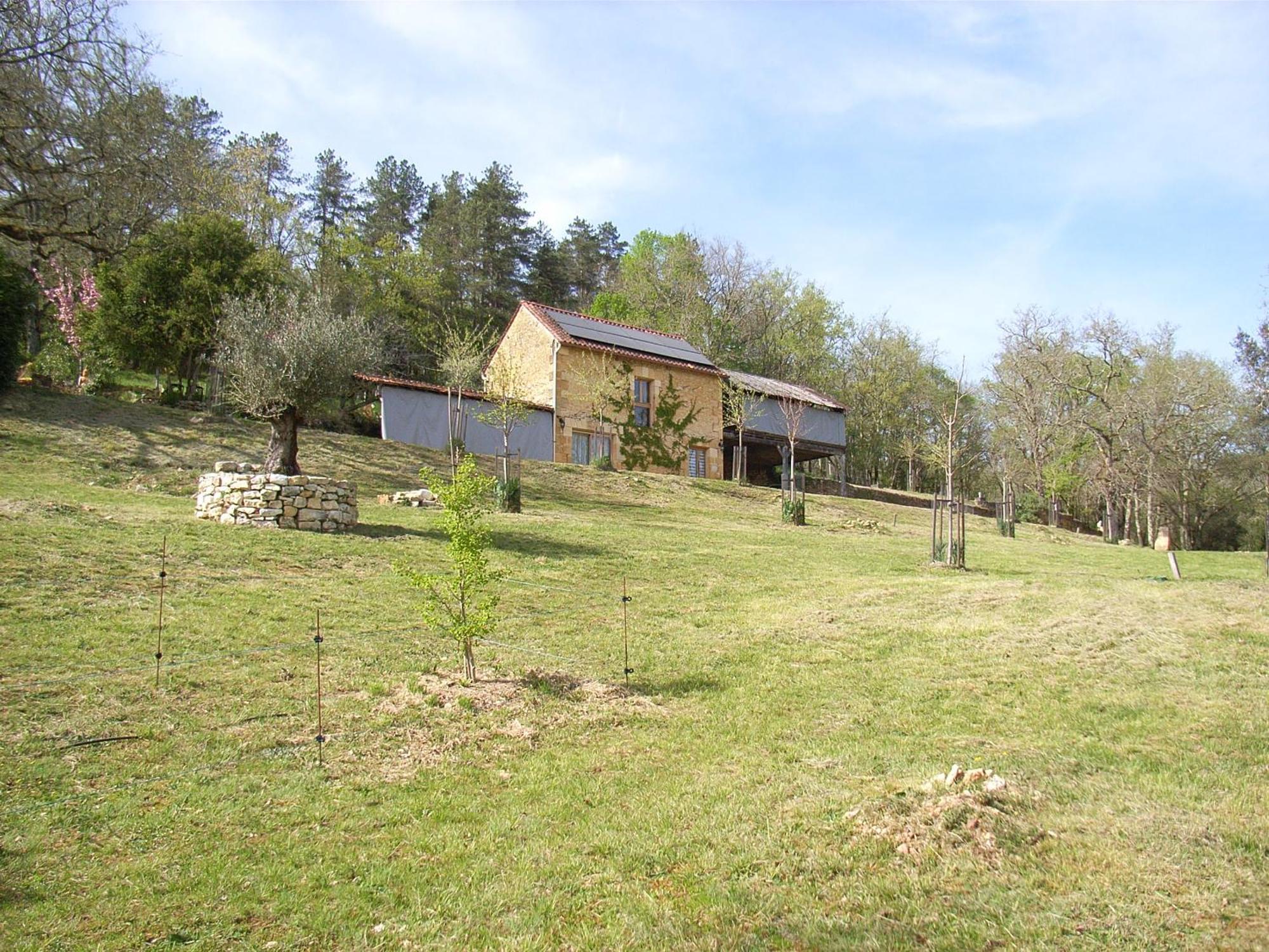 Studio Aux Eyzies Au Coeur De La Vallee De L'Homme Les Eyzies エクステリア 写真